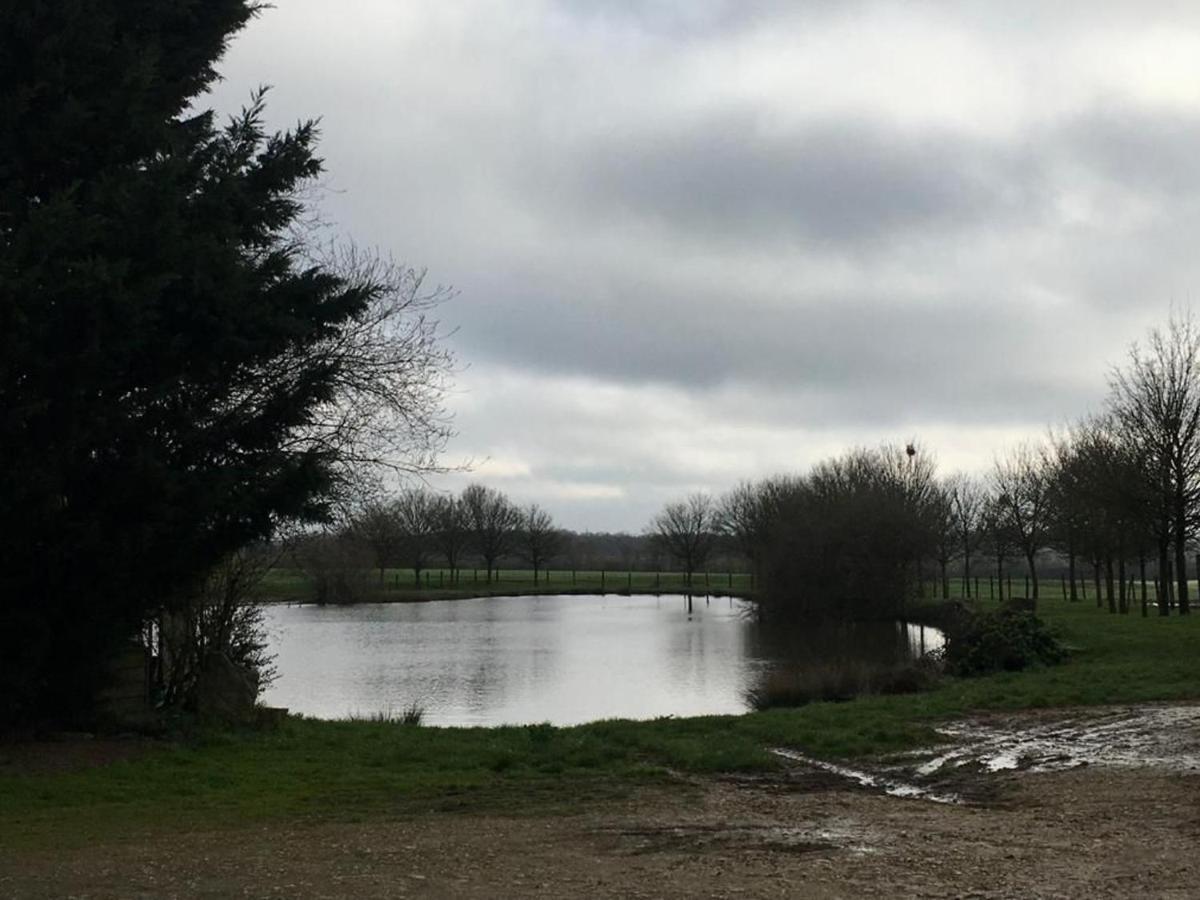 Gite Independant Avec Jardin, Proche Le Mans, Ideal Pour Familles Et Amateurs De Nature - Fr-1-410-315 Villa Crannes-en-Champagne Exteriör bild